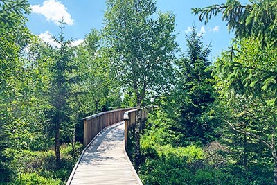 Lotharpfad an der Schwarzwaldhochstraße