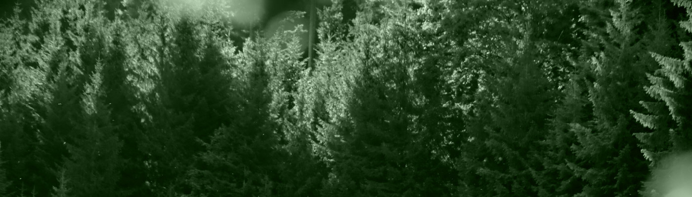 Schwarzwald
