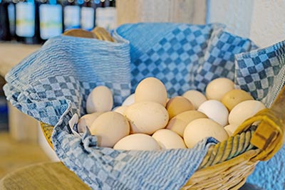 Frische Eier von unseren Hühnern