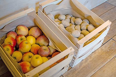 Äpfel und Kartoffeln
