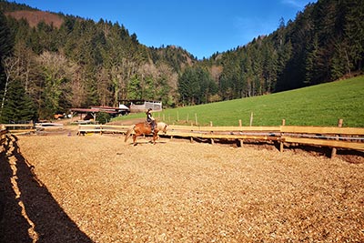 Voltigieren auf dem Reitplatz