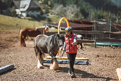 Reiten auf dem Friedershof