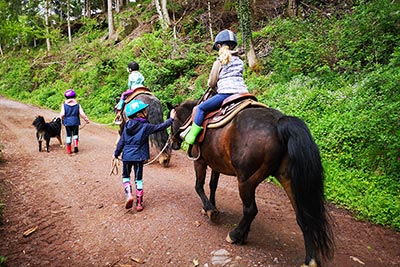 Reiten auf dem Friedershof