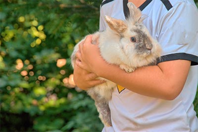 Unsere Tiere