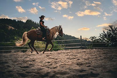 Westernreiten