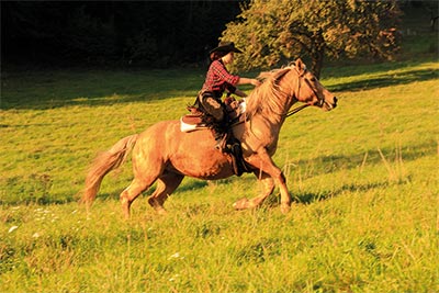 Westernreiten